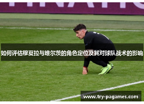 如何评估穆夏拉与维尔茨的角色定位及其对球队战术的影响