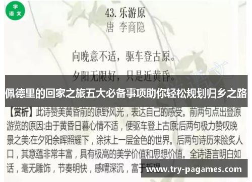 佩德里的回家之旅五大必备事项助你轻松规划归乡之路