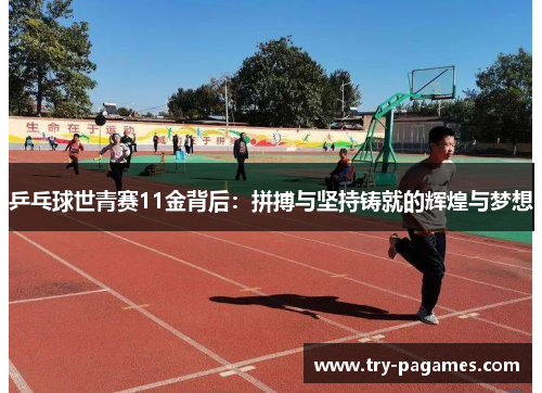 乒乓球世青赛11金背后：拼搏与坚持铸就的辉煌与梦想