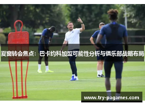 夏窗转会焦点：巴卡约科加盟可能性分析与俱乐部战略布局