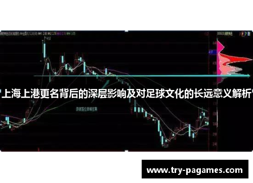 上海上港更名背后的深层影响及对足球文化的长远意义解析