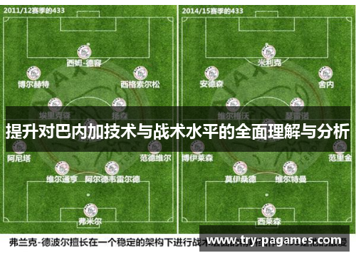 提升对巴内加技术与战术水平的全面理解与分析