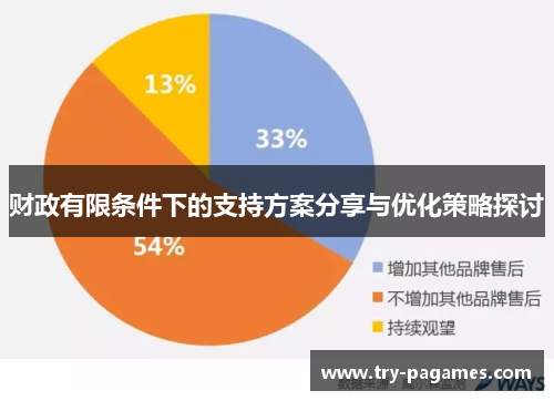 财政有限条件下的支持方案分享与优化策略探讨