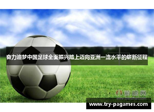 奋力追梦中国足球全面振兴踏上迈向亚洲一流水平的崭新征程