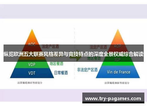 纵览欧洲五大联赛风格差异与竞技特点的深度全景权威综合解读