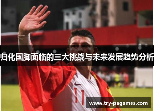 归化国脚面临的三大挑战与未来发展趋势分析