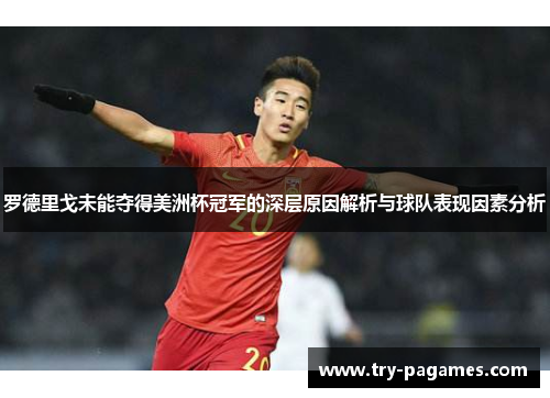 罗德里戈未能夺得美洲杯冠军的深层原因解析与球队表现因素分析 罗德里戈未能夺得美洲杯冠军的深层原因解析与球队表现因素分析